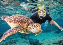 red sea trip