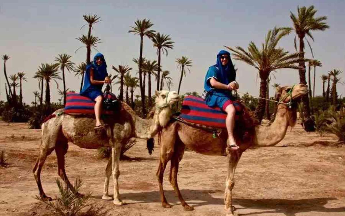 Camel safari in the desert of Sharm El Sheikh