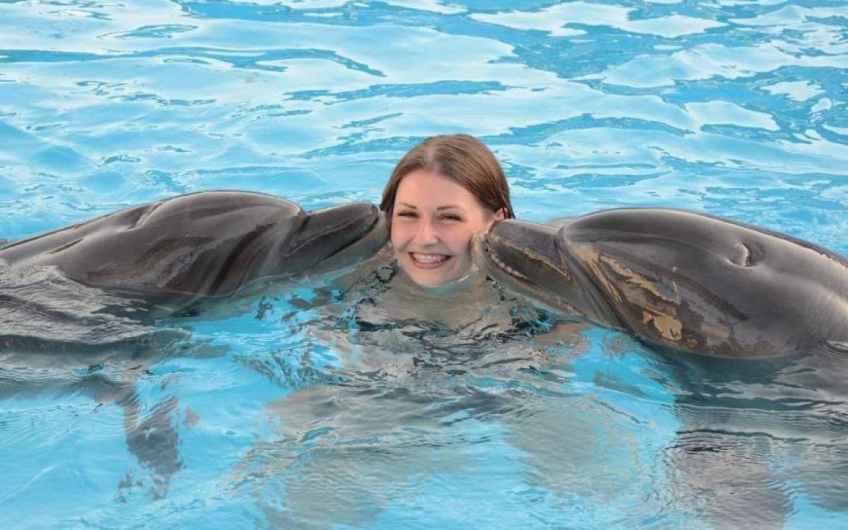 Dolphin show in Sharm El Sheikh