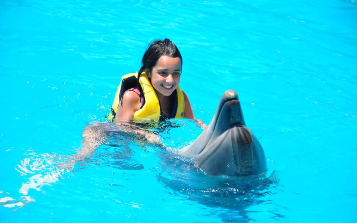 Nuotare con i delfini a Sharm el Sheikh
